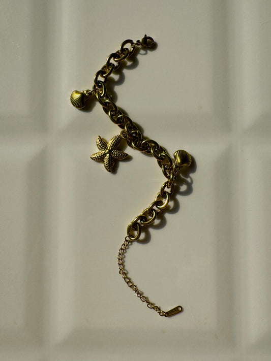 Marine bracelet